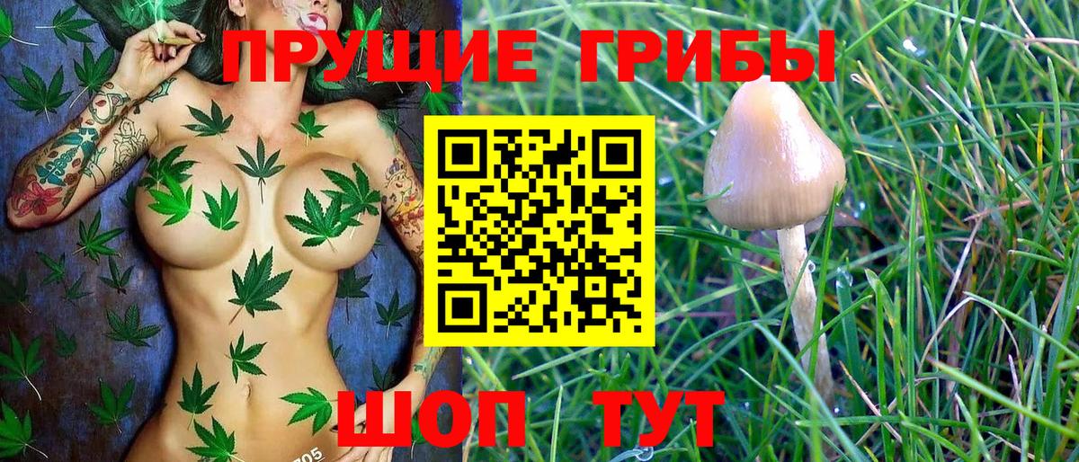 Галлюциногенные грибы мицелий Белово